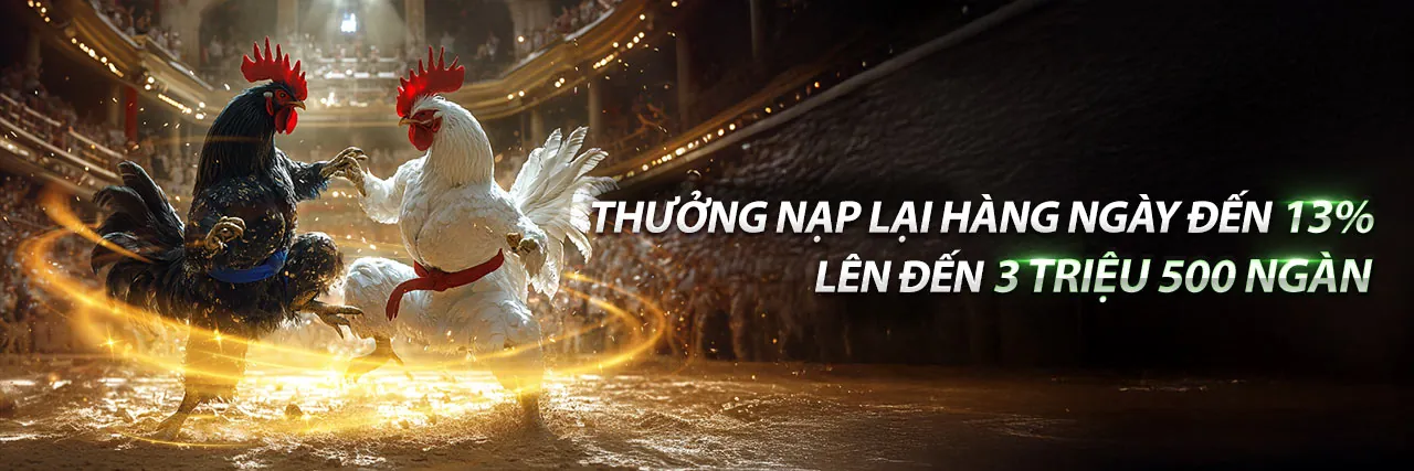Đá Gà Bình Luận Viên VN88 – Trải Nghiệm Cá Cược Đỉnh Cao 2026